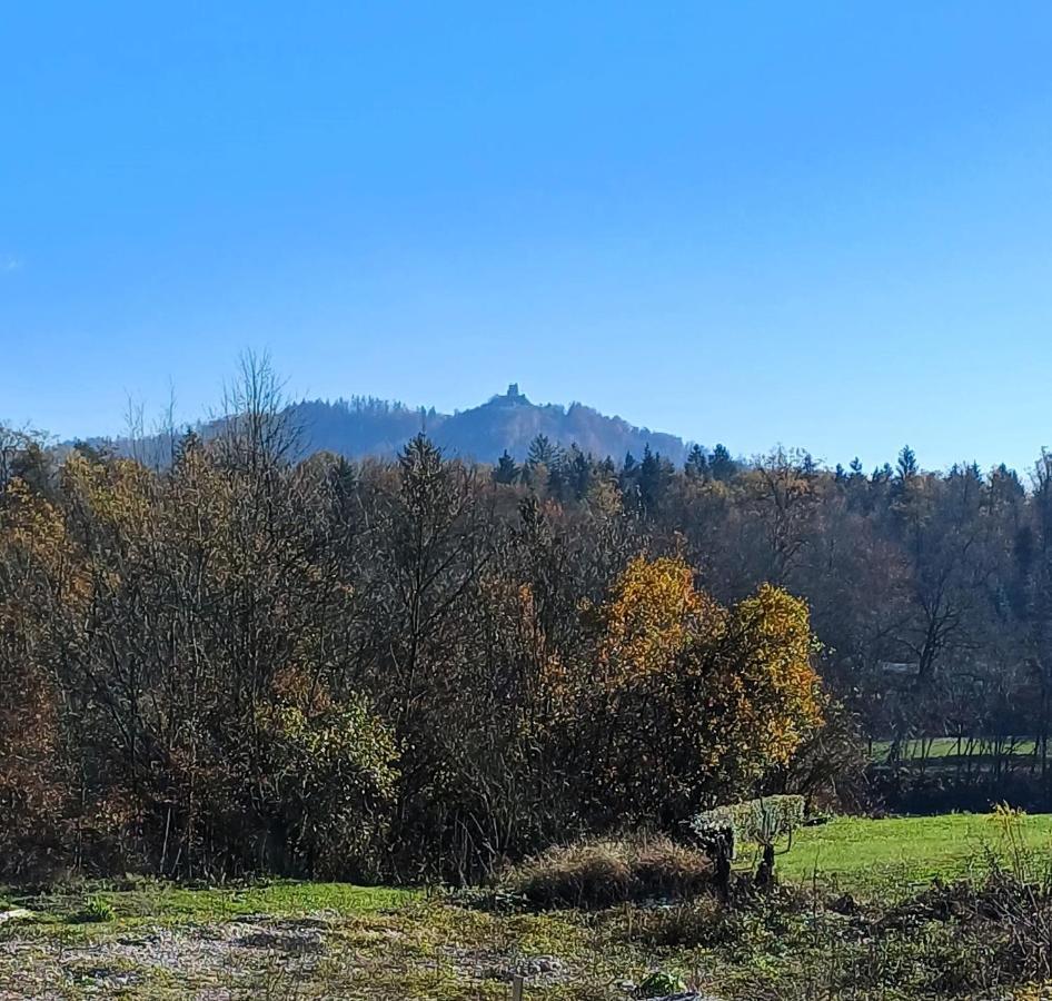 Apartmaji Stars Mavcice Esterno foto